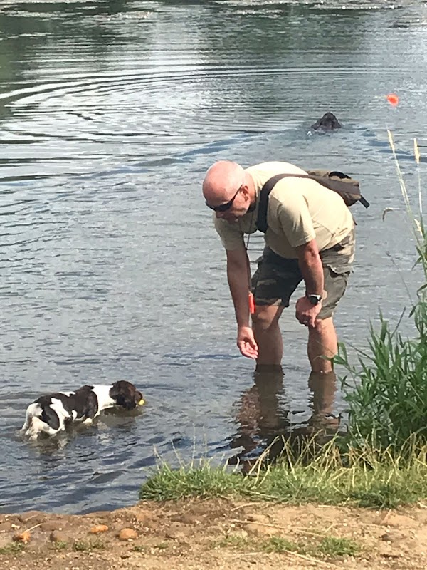 Racomitrium Gundogs photo 2