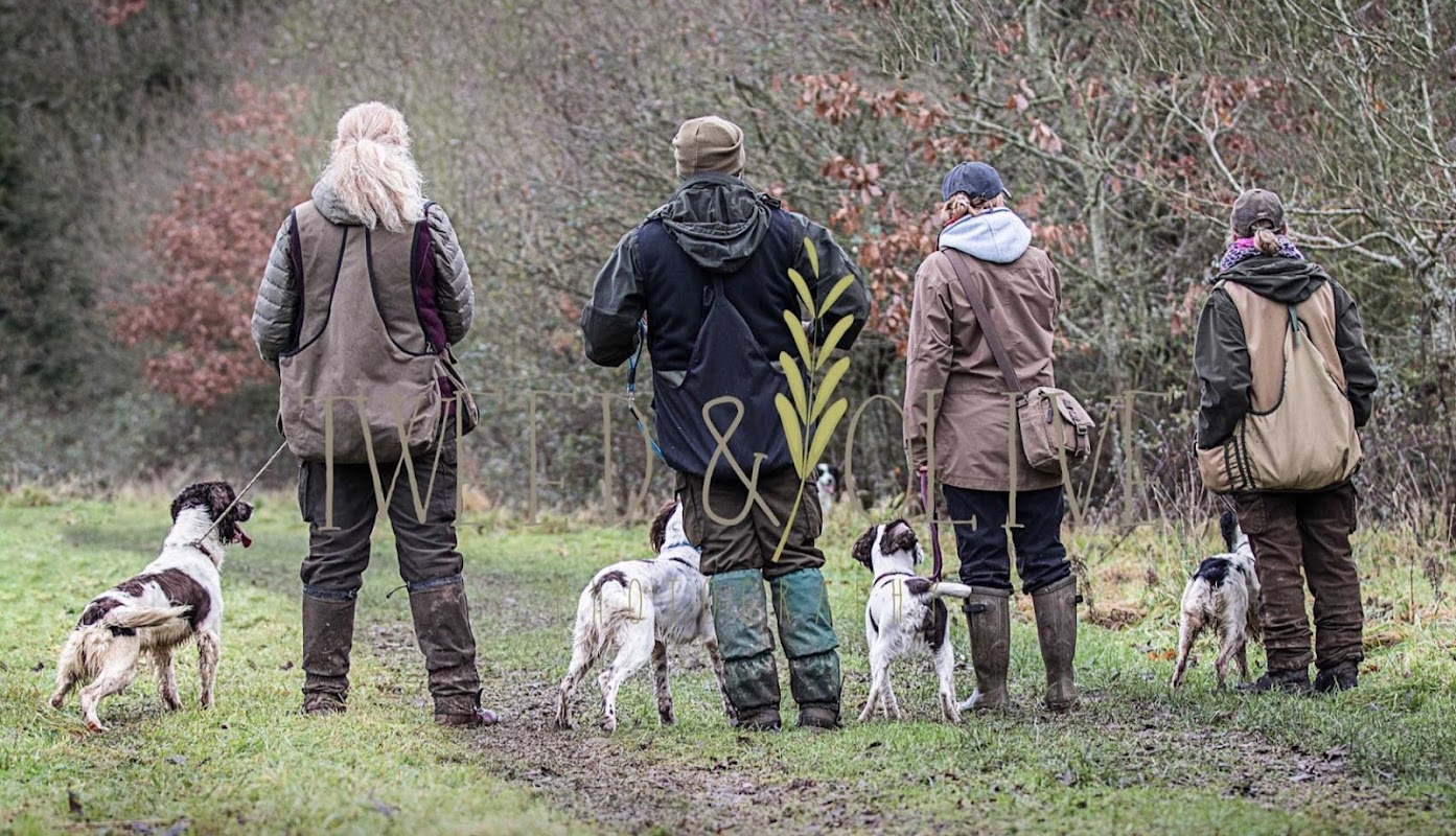 Sixchimnies Gundogs photo 2