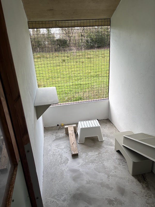 The Knoll Cattery