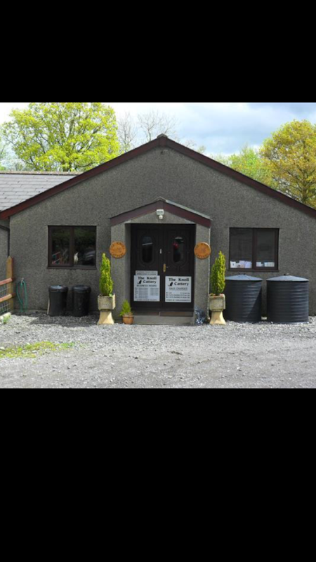 The Knoll Cattery photo 3