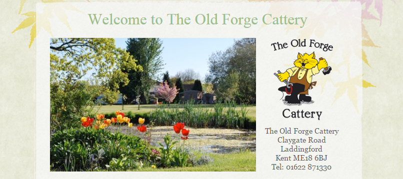 The Old Forge Cattery photo 1