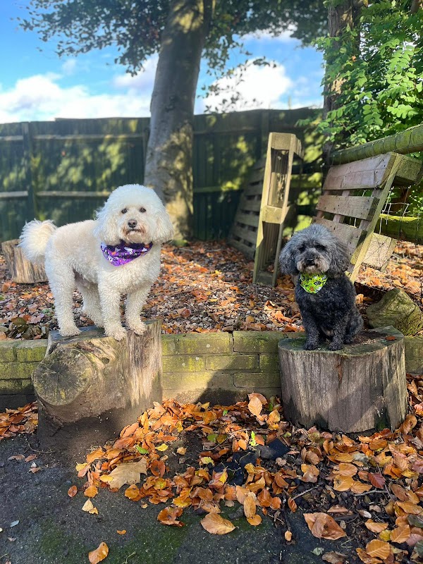 Beacon Barkers Pet Centre (Meadowcroft Kennels Ltd)