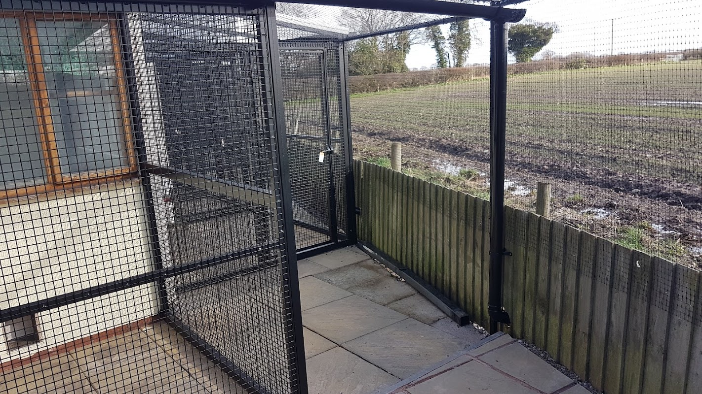 Posh Paws Cattery