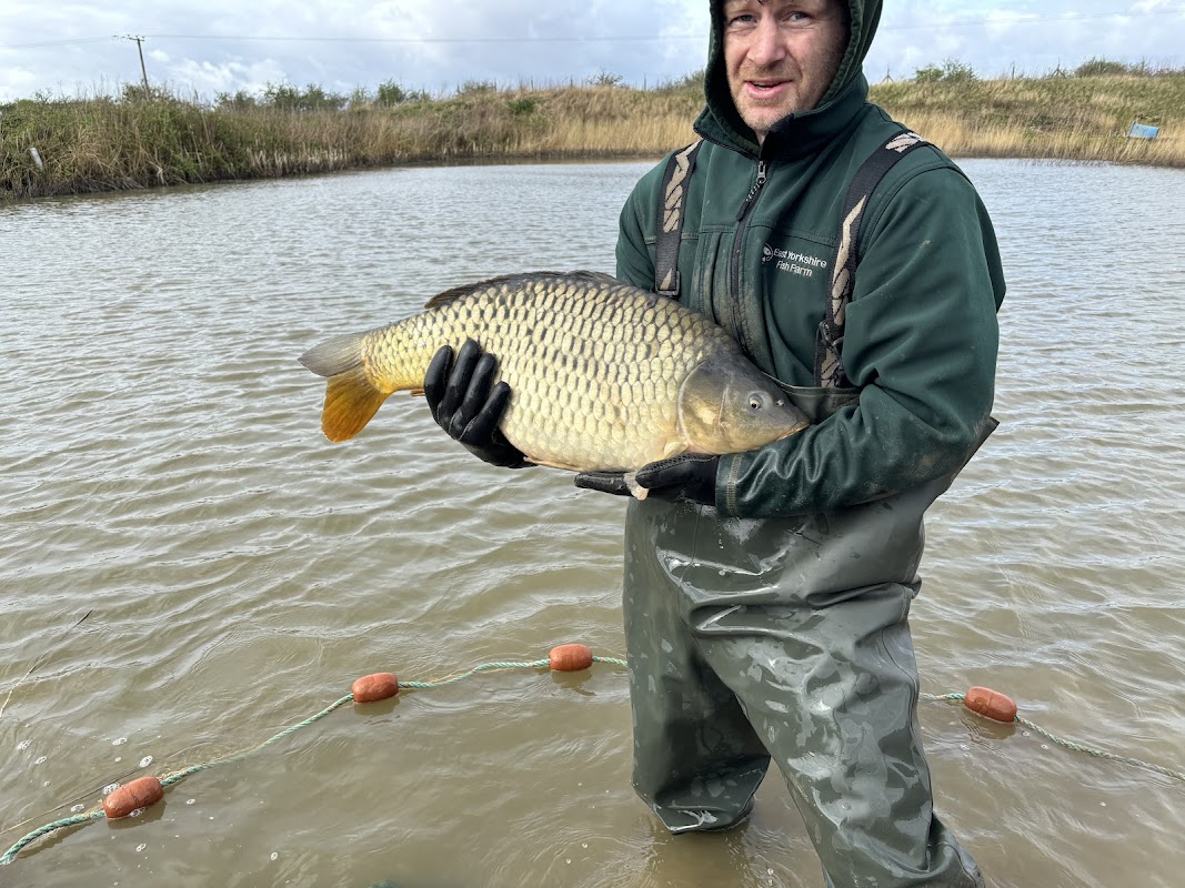 East Yorkshire Fish Farm photo 1