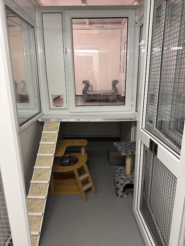Platinum cat hotel 5* luxury cattery photo 1