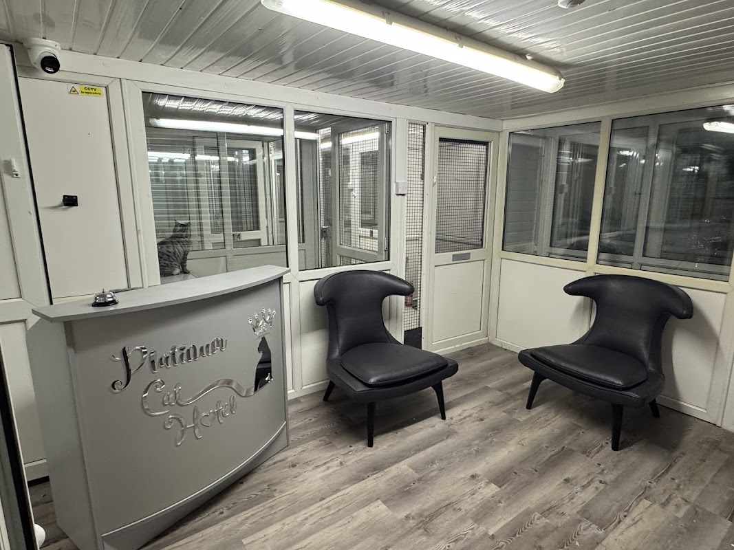Platinum cat hotel 5* luxury cattery photo 2