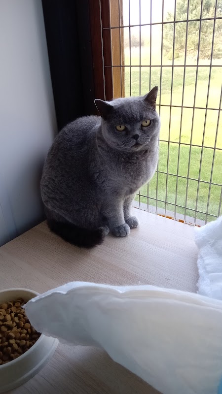 Cottage Cattery