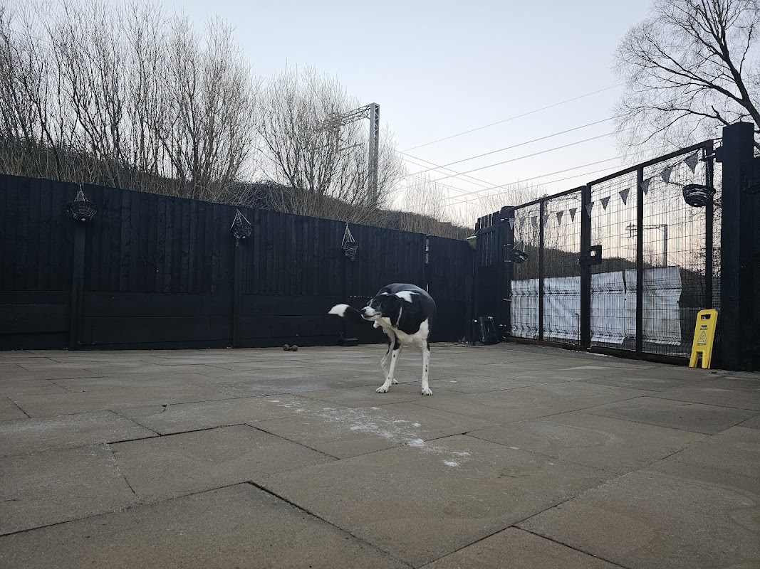 Kearsley kennels photo 2