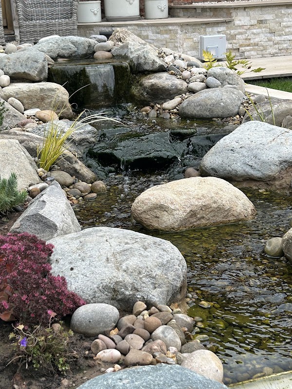 Perfect Ponds & Koi photo 3