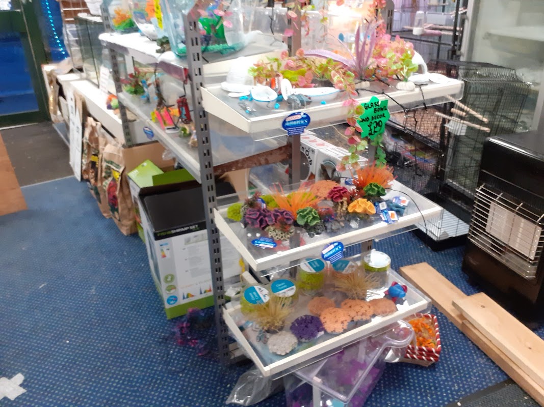 Openshaw Pets & Aquatics - Tropical Fish photo 3