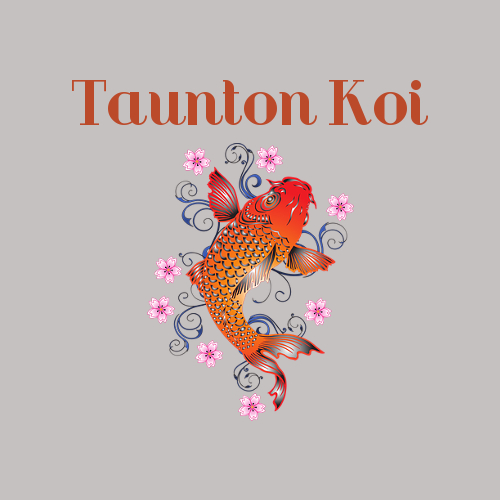 Taunton Koi photo 3