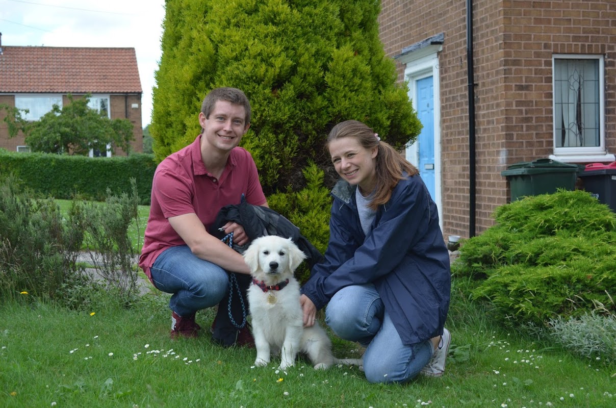 Puppy Steps puppy training photo 1