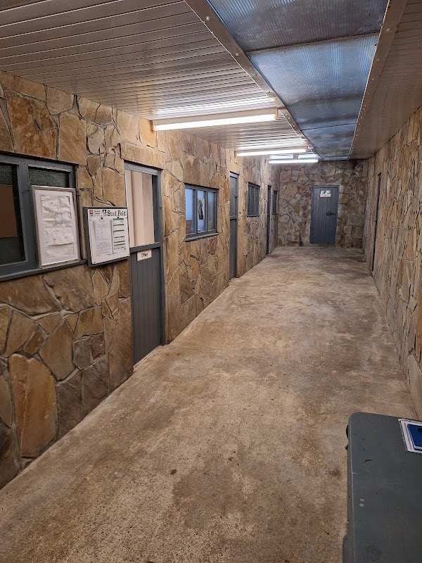 Stodfold Kennels Ltd — breeder photo