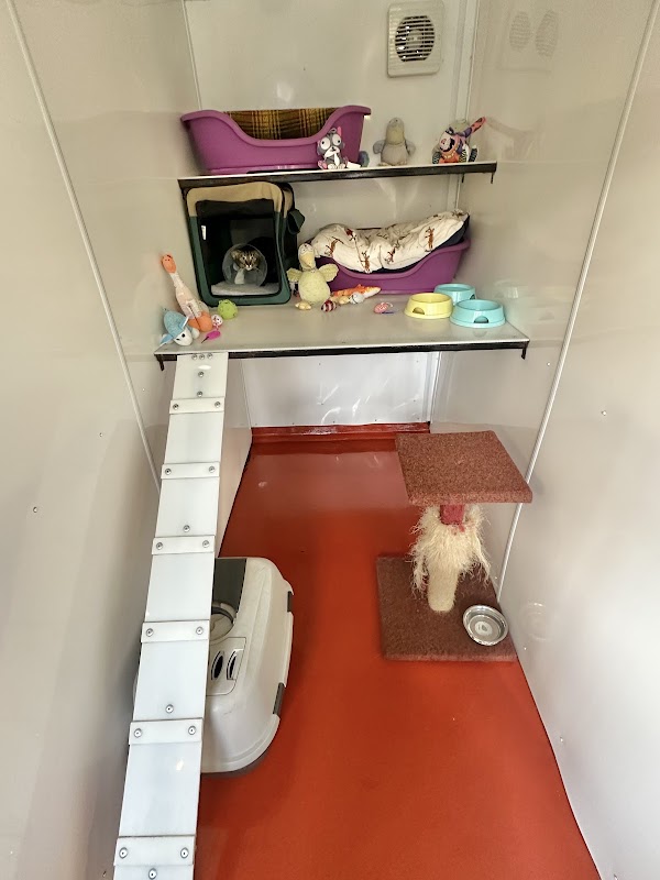The Runtlings Cattery photo 3