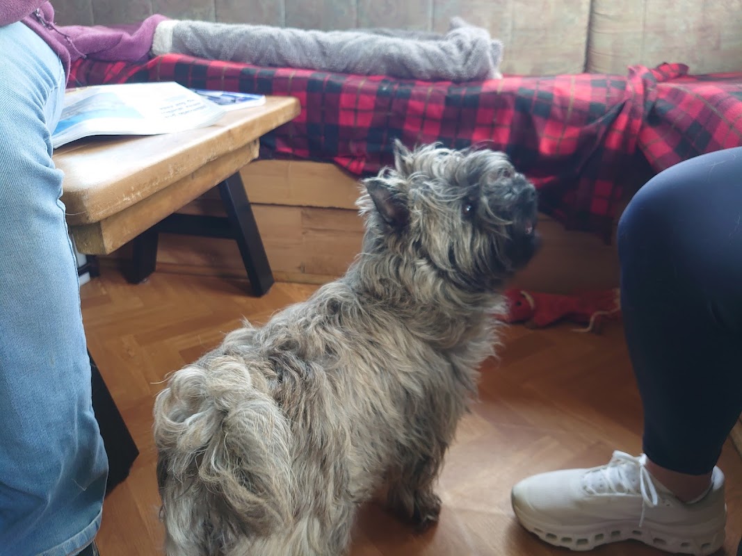 Uppertown Farm - Wederdena's Terriers