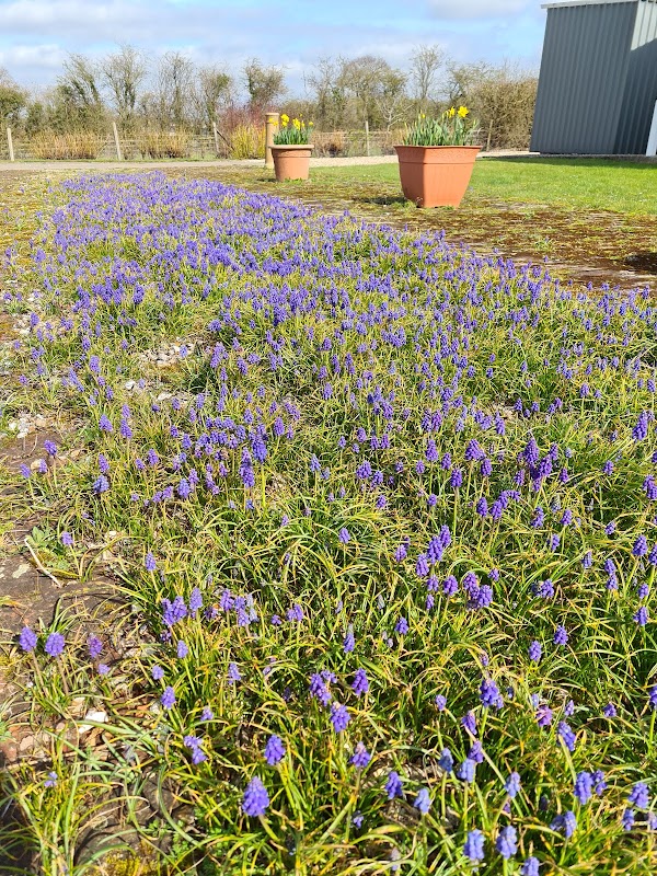 The Cattery At Northwoods photo 2