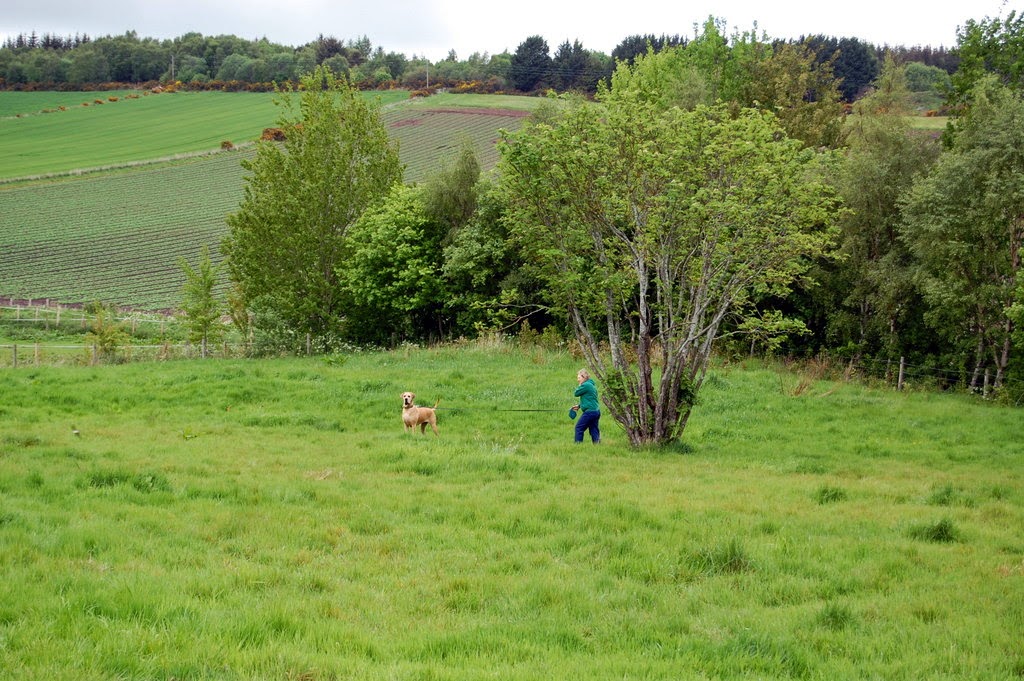 Brumley Brae Catlodge & Kennels photo 3