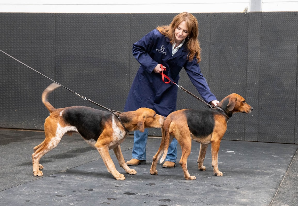 Elite Kennel Fertility photo 3