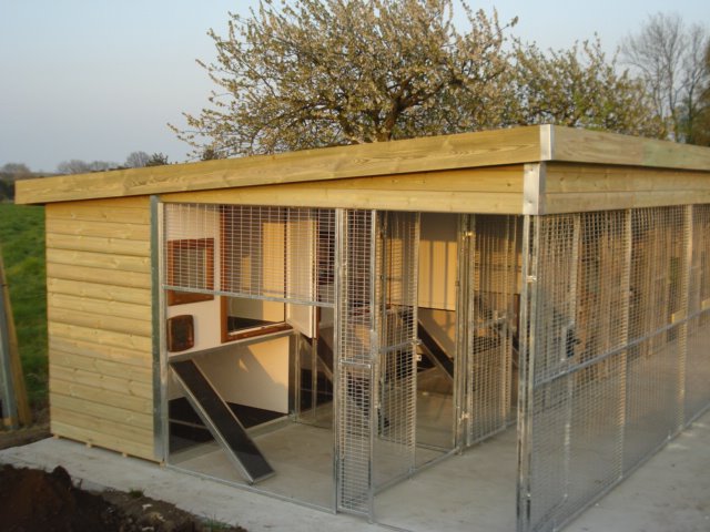 Whiskers Lodge Cattery