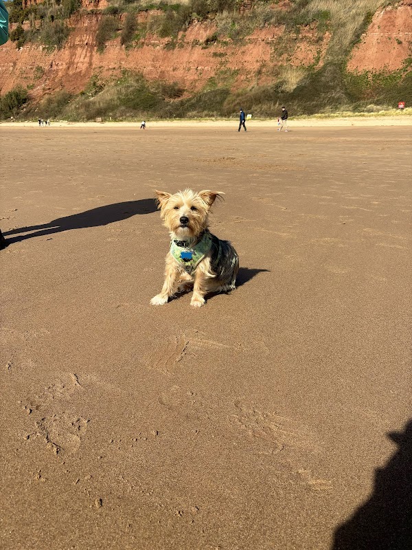 Exmouth Legal Beagle photo 3
