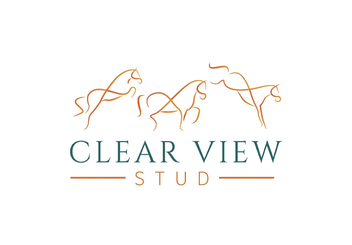 Clear View Stud photo 2