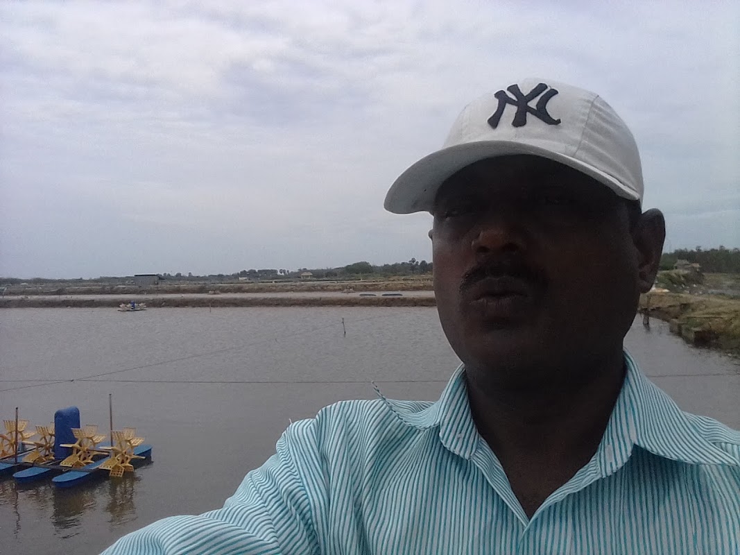 Aquaculture UK photo 1