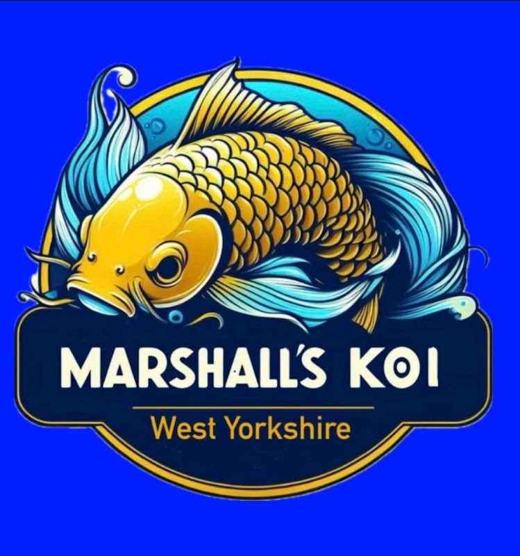 Marshall’s Koi photo 1
