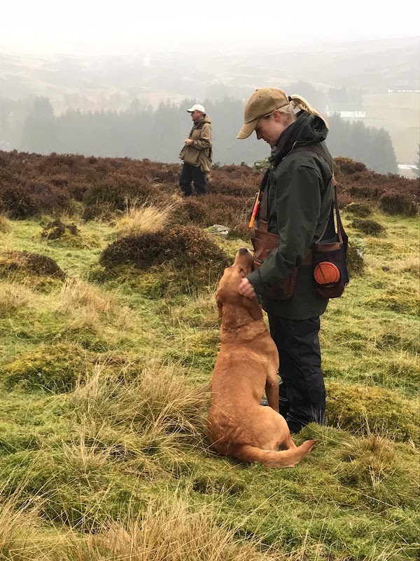 Rufriver Gundogs photo 2