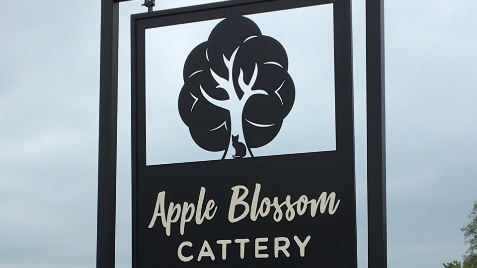 Apple Blossom Cattery