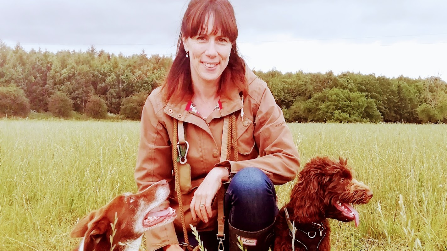 Yorkshire Dog Whisperer photo 2