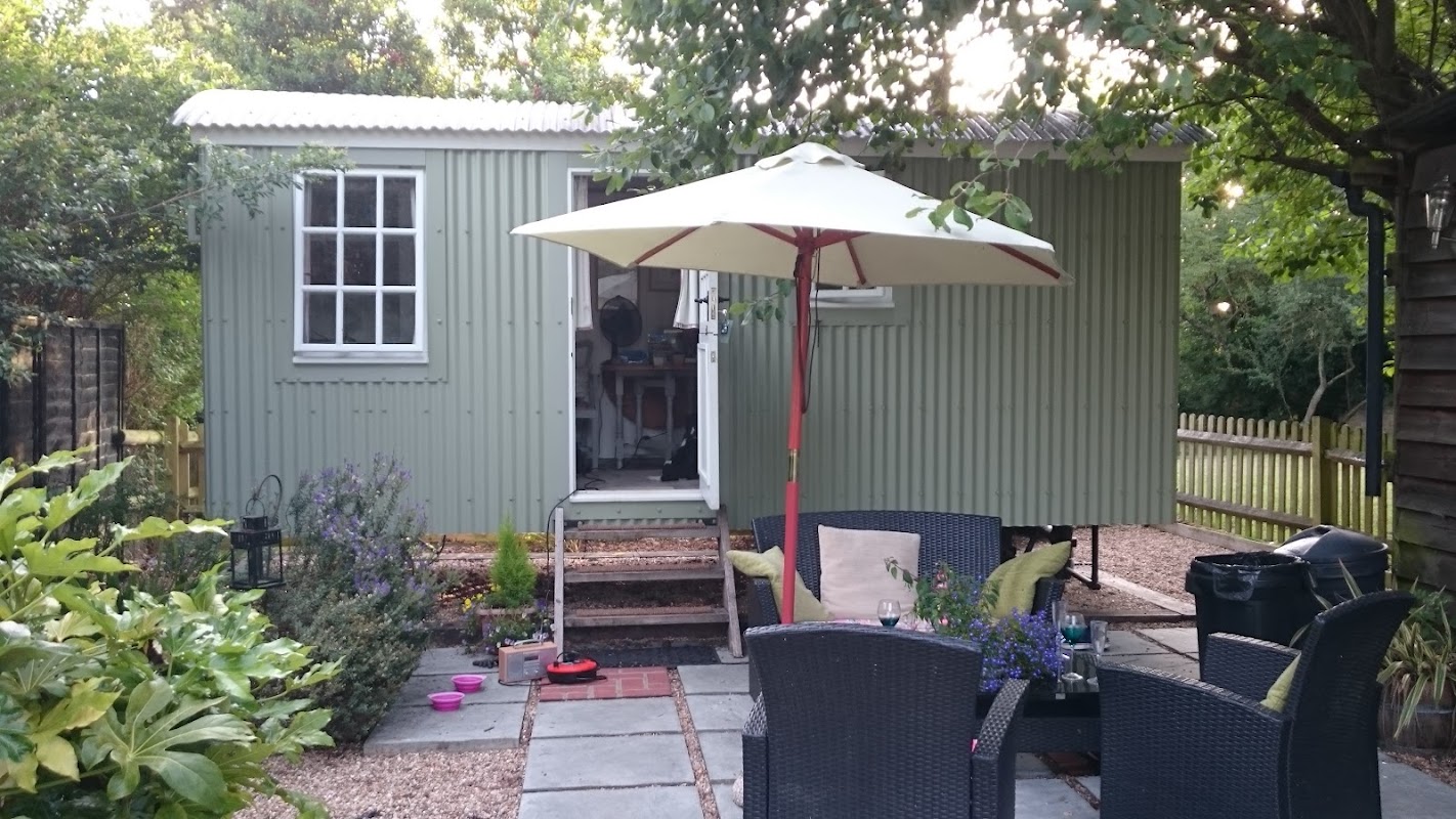 The Dog Lounge