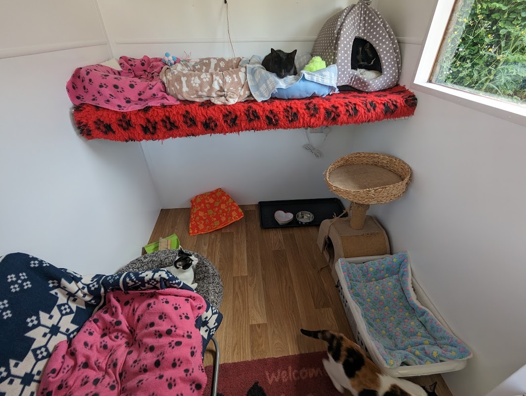 The Stables Cattery Aldergrove photo 2