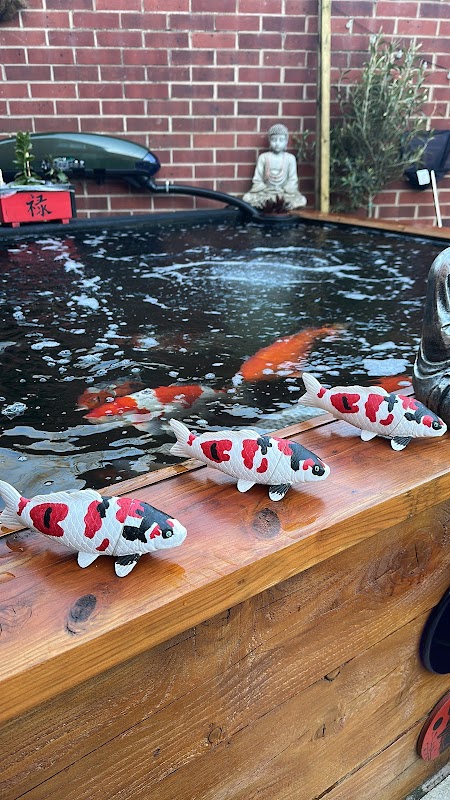 Dannys koi and aquatics photo 3