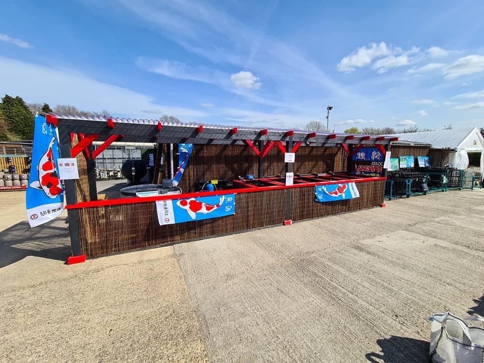 CN Koi - based at Claremont Garden Centre, Bryants Lane, Maldon Road, Woodham Mortimer. CM9 6TB photo 2