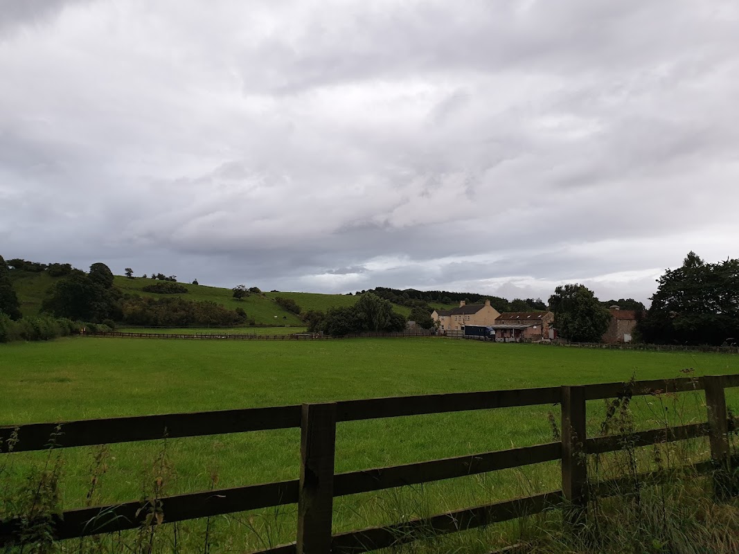 Hedgeholme Stud