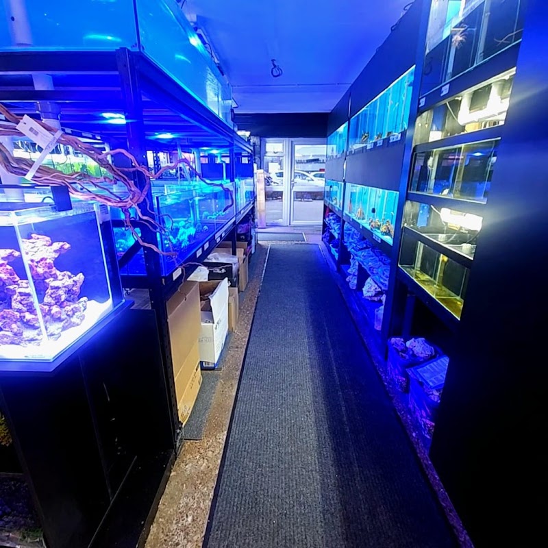 Delta Aquarium LFS photo 3