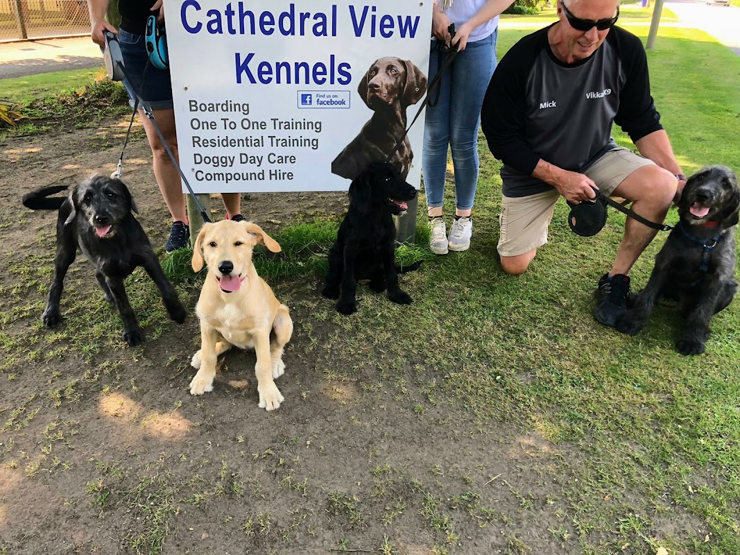 Cathedral View Kennels photo 3