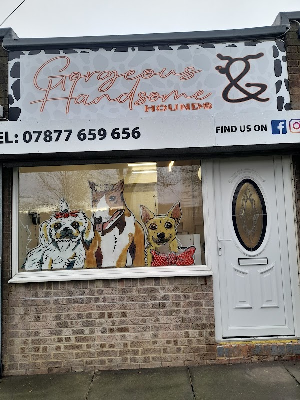 Gorgeous & Handsome Hounds Sunderland