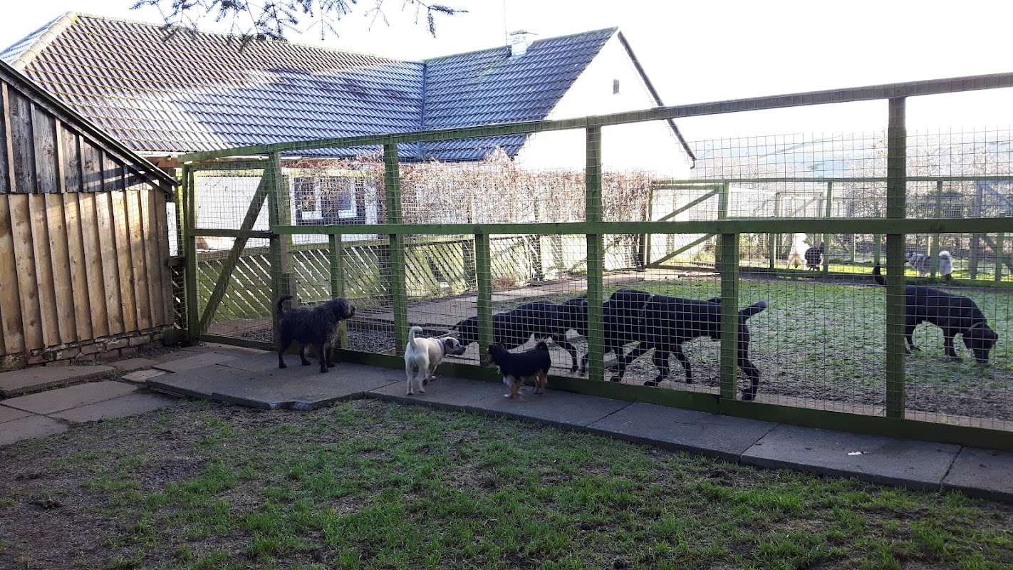 Windyhill Kennels
