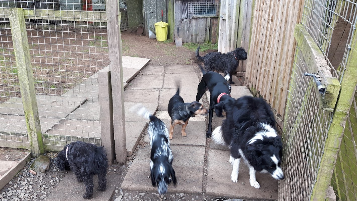 Windyhill Kennels photo 3