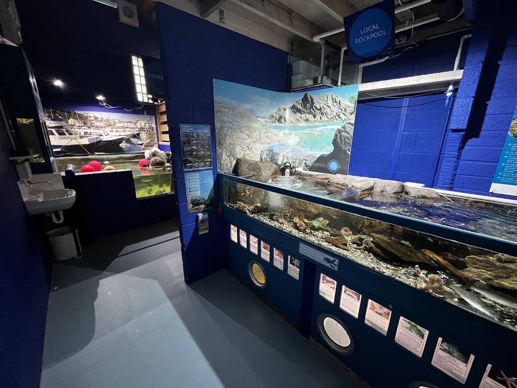 The Ilfracombe Aquarium photo 1
