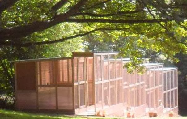 Wareside Cattery photo 2