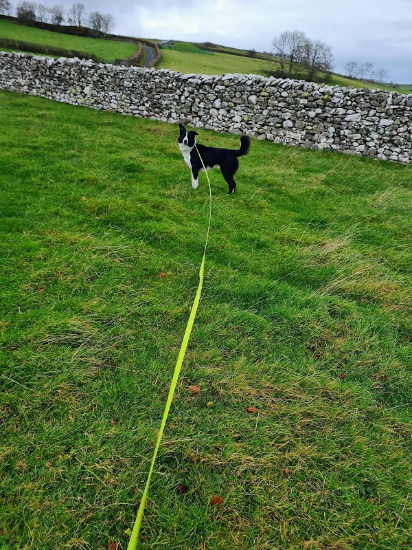 Biggards Dog Kennels photo 2