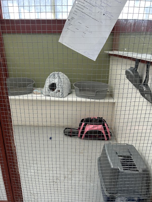 Kittochside Country Cattery photo 3