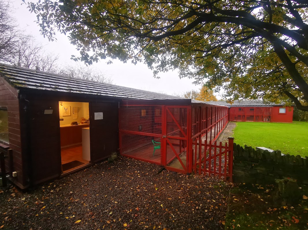 Copthorne Cattery photo 3