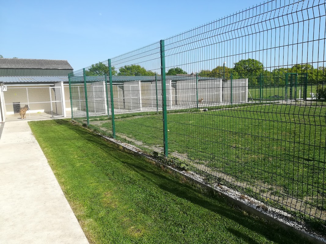 Storwood Kennels photo 1