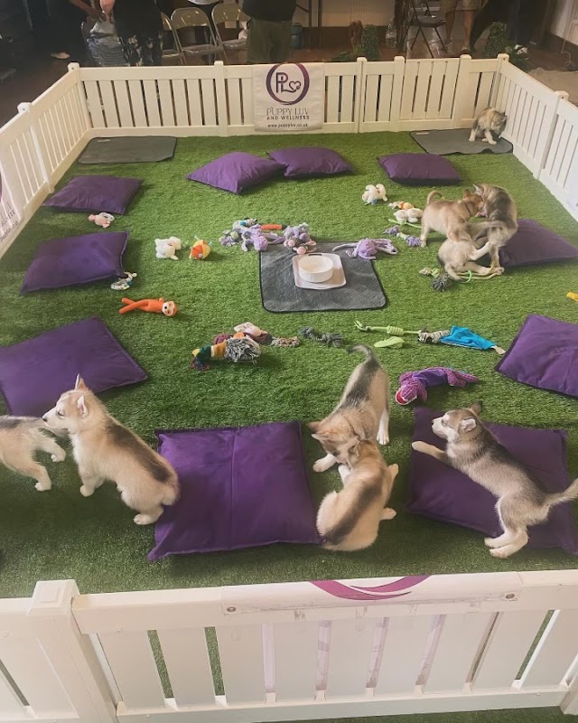 Puppy Luv and Wellness photo 1