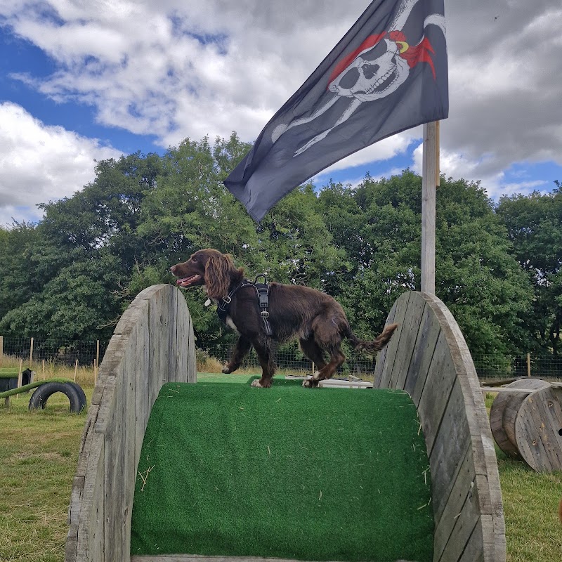 K9 Adventure Park Dog-topia photo 2