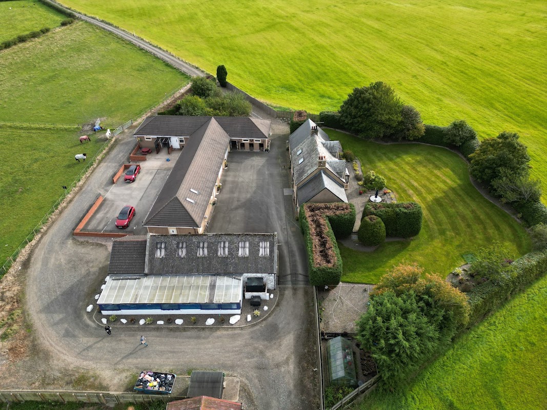 Powside Cattery photo 3