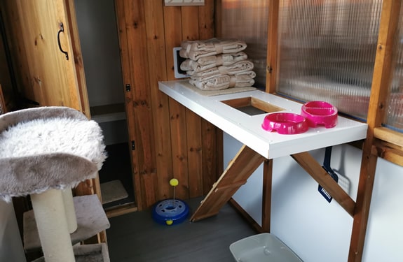 The Willows Cattery photo 3